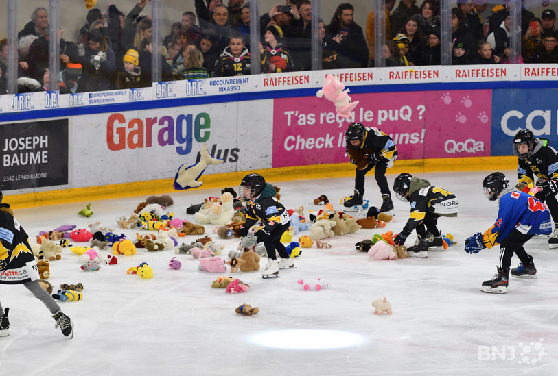 1612 peluches ont été lancées sur la glace samedi soir. Elles seront redistribuées à des enfants défavorisés. (photo : Georges Henz).