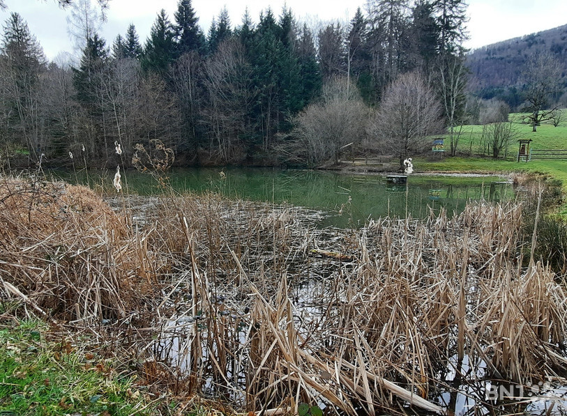 L'étang du Sacy se trouve sur les hauteurs de Courtételle.