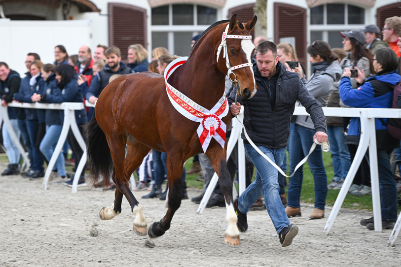 « El Fuego » s'est adjugé le classement combiné (photo: FSFM).