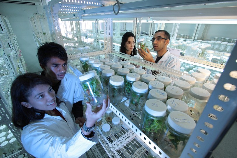 laboratoire