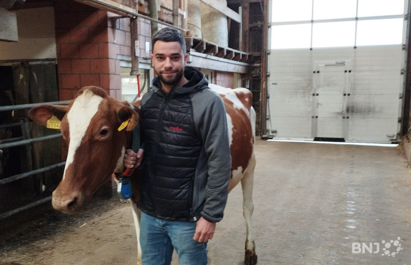 Clément Baume pose en compagnie de sa vache Andalouse qui participera à Arc Jurassien Expo.