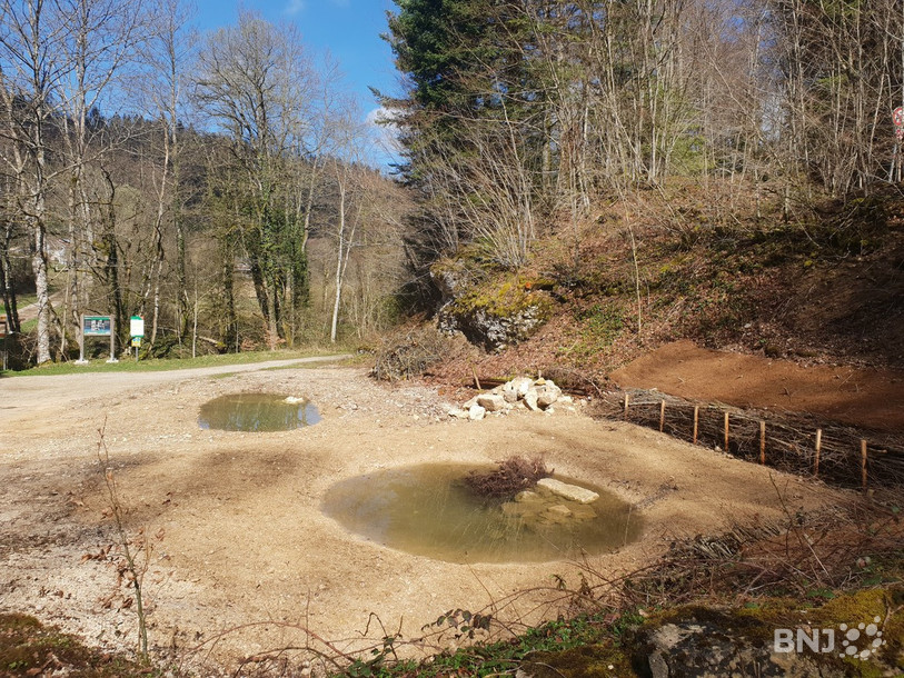 Deux mares ont été aménagées près de Lucelle. (Photo : Office de l'environnement)