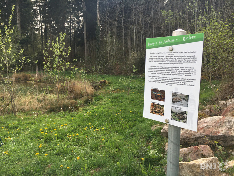 L'étang de Bure fait partie des lieux insolites à découvrir le long des itinéraires.