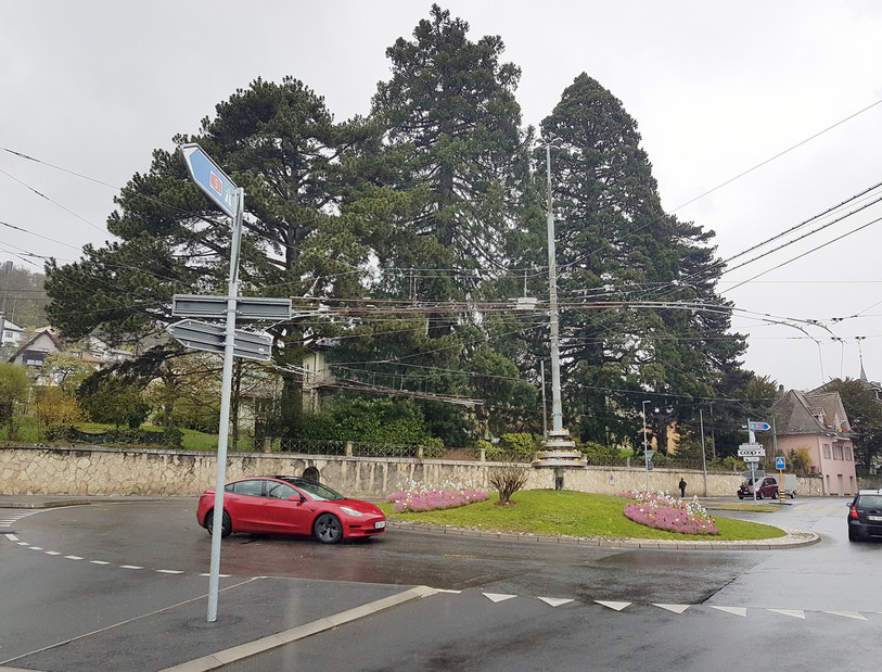 Les arbres qui surplombent le giratoire de la Maison de Commune à Peseux seront taillés et entretenus dimanche 21 avril entre 7h30 et 17h30. (Photo : SPCH)