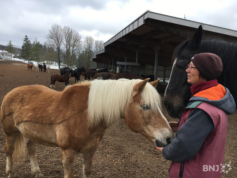 La palefrenière Cynthia Rindlisbacher en compagnie de Aldo et de Conan, deux retraités un peu pot de colle!