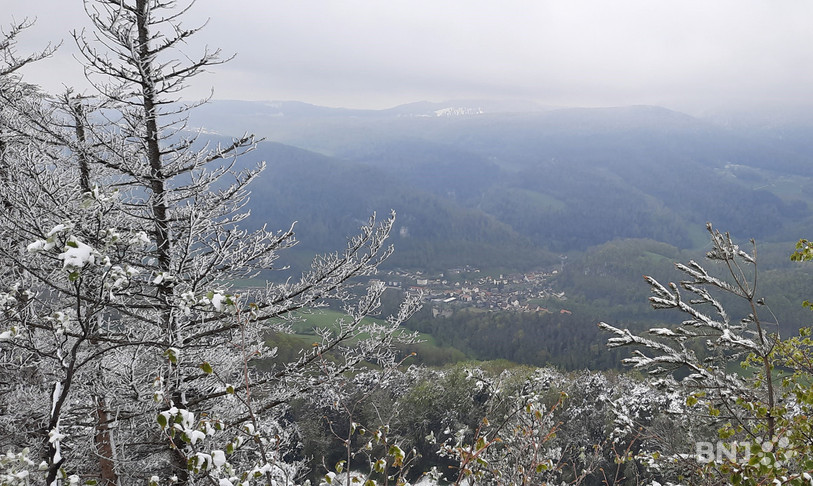 A travers les arbres enneigés de cette fin d'avril, on aperçoit le village de Soyhières depuis le Roc de Courroux.