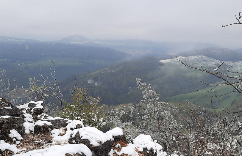 Le Roc de Courroux offre une vue à 360 degrés. En cas de beau temps, on peut même apercevoir, entre autres, les Vosges et la ville de Bâle.