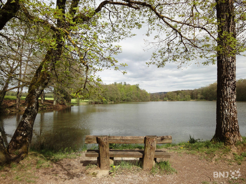 Les étangs de Bonfol