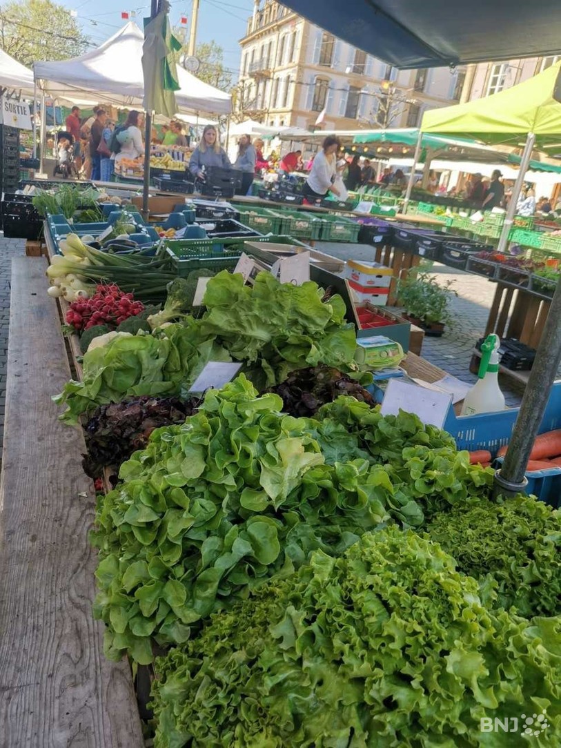 Salades du marché