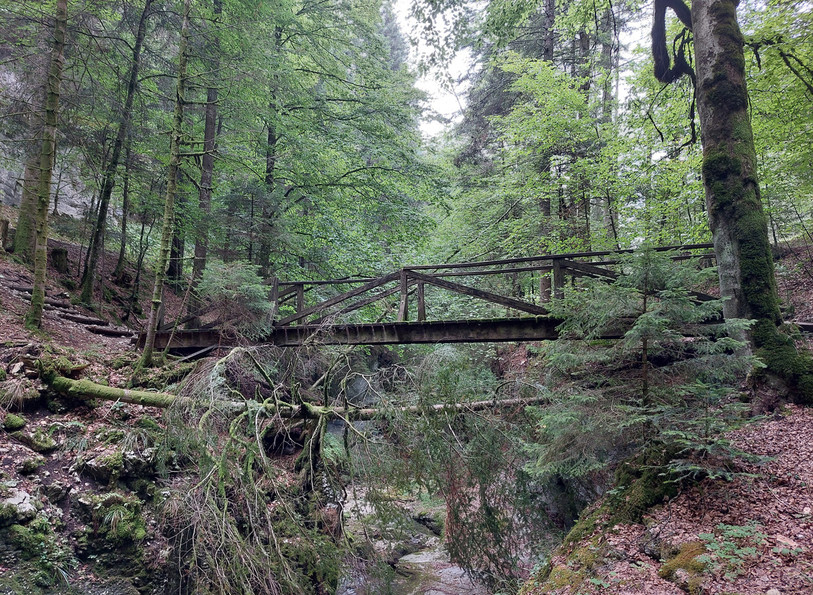 La passerelle des Cascadelles, dans les gorges de la Poëta-Raisse, sera remplacée cet été.