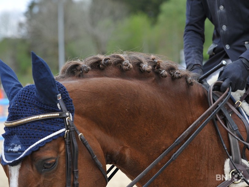 Cheval