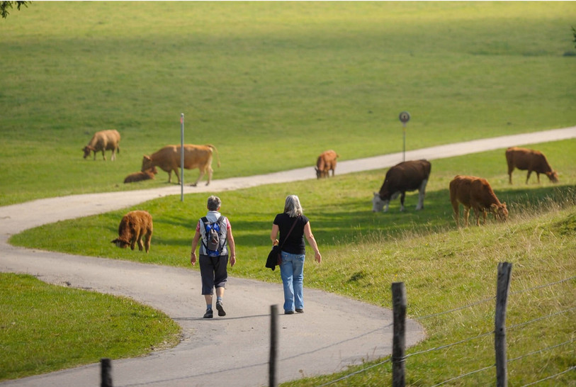 Les promeneurs s'interrogeront sur le changement des paysages jurassiens aux Franches-Montagnes. (Image : RCJU).
