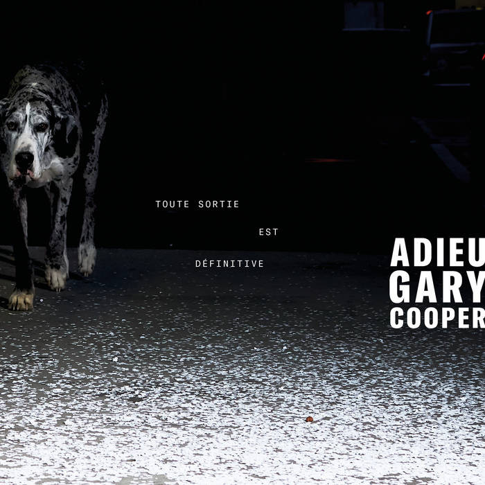 Adieu Gary Cooper, Toute sortie est définitive (pochette)