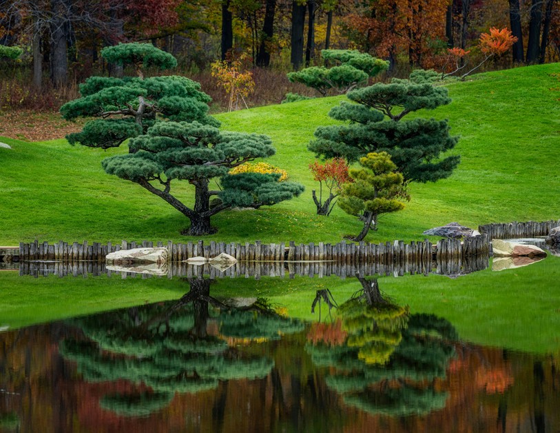 arbre-nuage