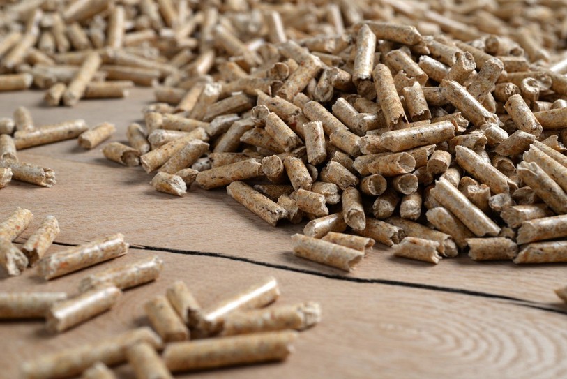 Qu'il soit sous forme de bûches, de plaquettes forestières ou de pellets comme ci-dessus, le bois-énergie neuchâtelois atteint son seuil maximal. (Photo : proPellets.ch).