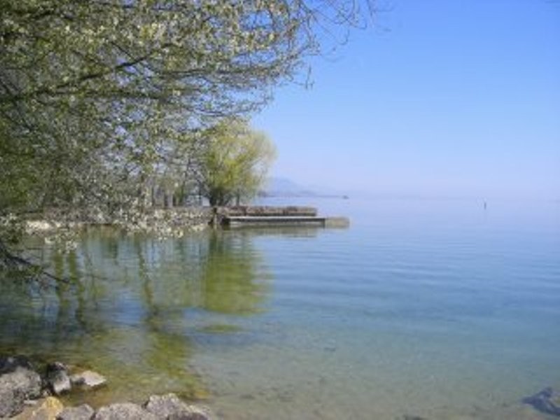 bord du lac