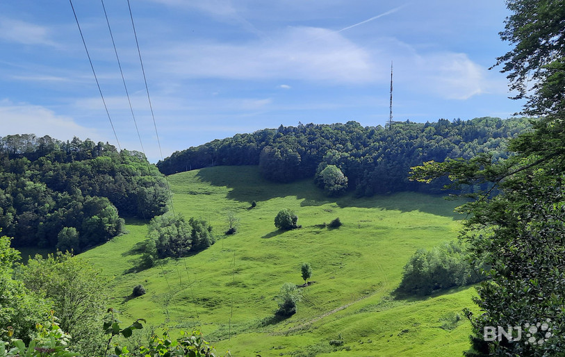 Depuis l'arrière de la cabane du Club alpin suisse s'ouvre une vue magnifique en direction de l'antenne des Ordons.
