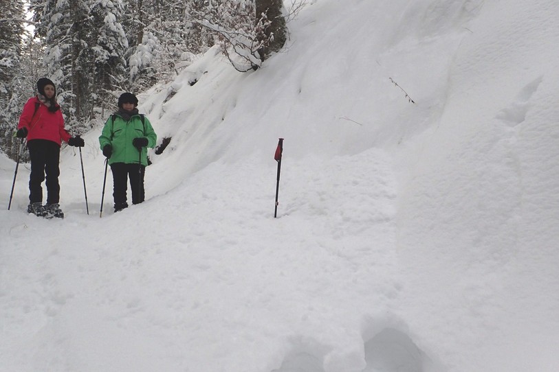 Coulée de neige en-dessous de la ferme du Chablet (NE). Photographe / copyright :  Grégoire Monnier / jura-nature.ch
