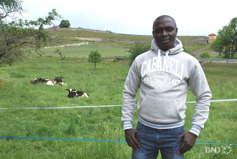 John Noubarassem avec des vaches à Areuse
