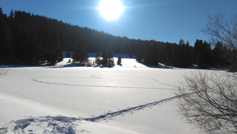 Franches-Montagnes