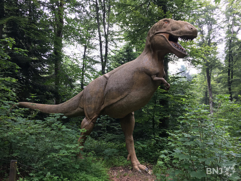 Des dinosaures et bien d'autres animaux attendent les visiteurs du Préhisto-Parc.