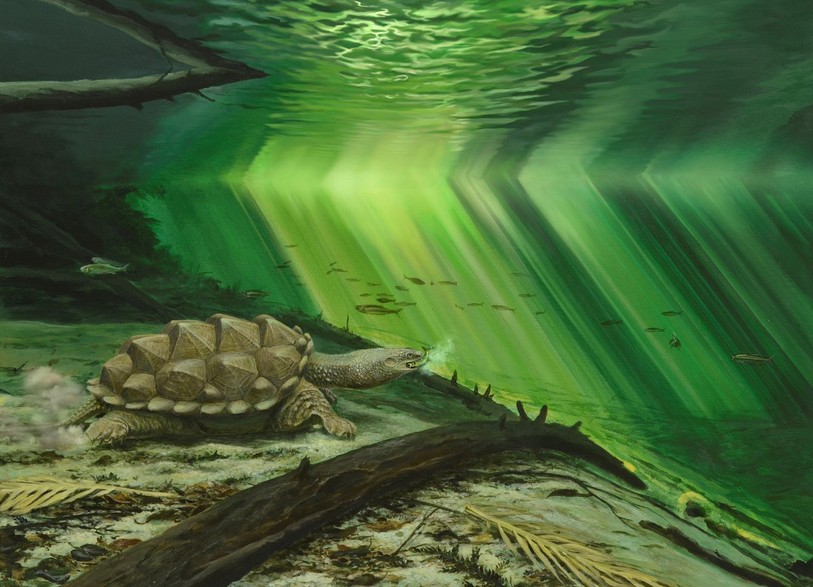 Illustration : Patrick Röschli.