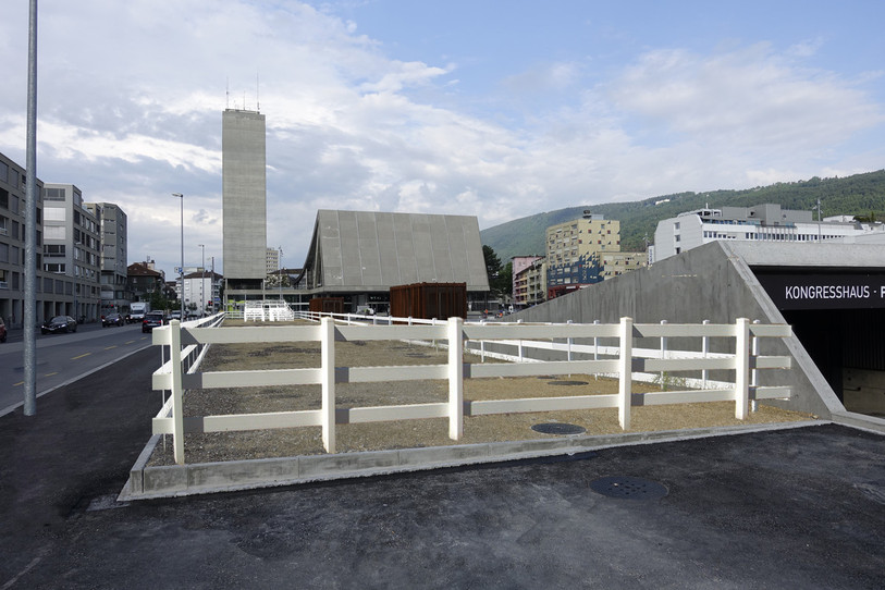 La sculpture Texas (croquis)
