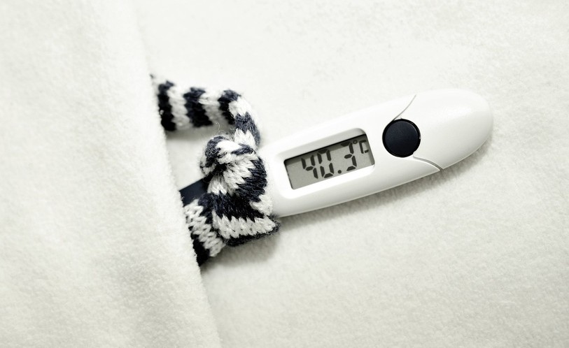 La députée Sonia Burri-Schmassmann demande au Gouvernement de reconnaître les risques pour la santé liés aux changements climatiques. (Image libre de droits).