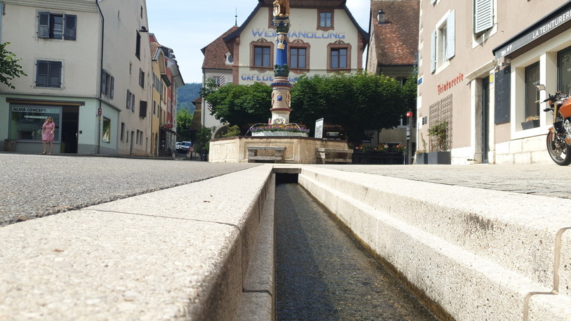 Le groupe CS-POP et Vert-e-s demande au Conseil municipal de Delémont de développer un plan directeur pour remettre la Doux à ciel ouvert, de sa source à son embouchure.