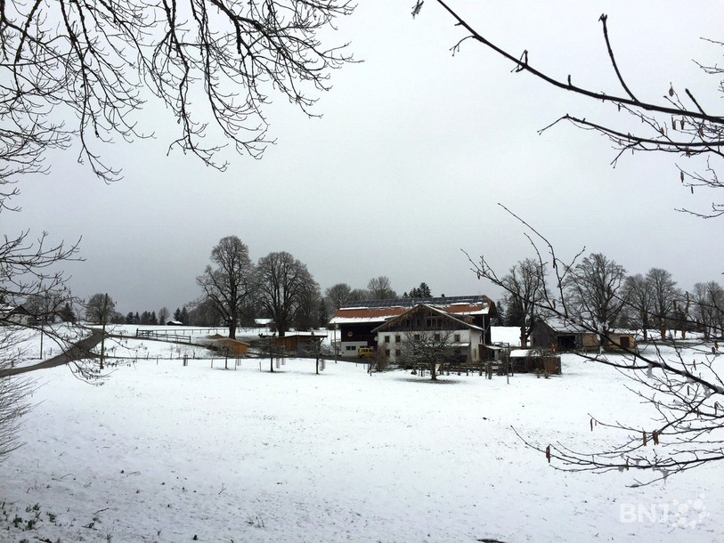 A La Tanne, au-dessus de Tavannes, la famille Gyger veut doter leur ferme de chambres d'hôte.