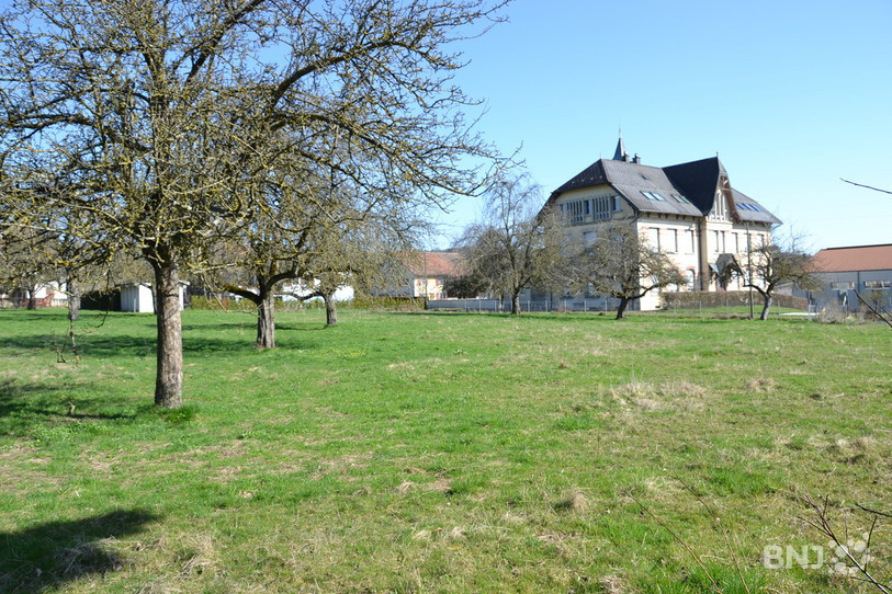 La future zone à bâtir de Courtedoux qui se trouve à côté de l'école