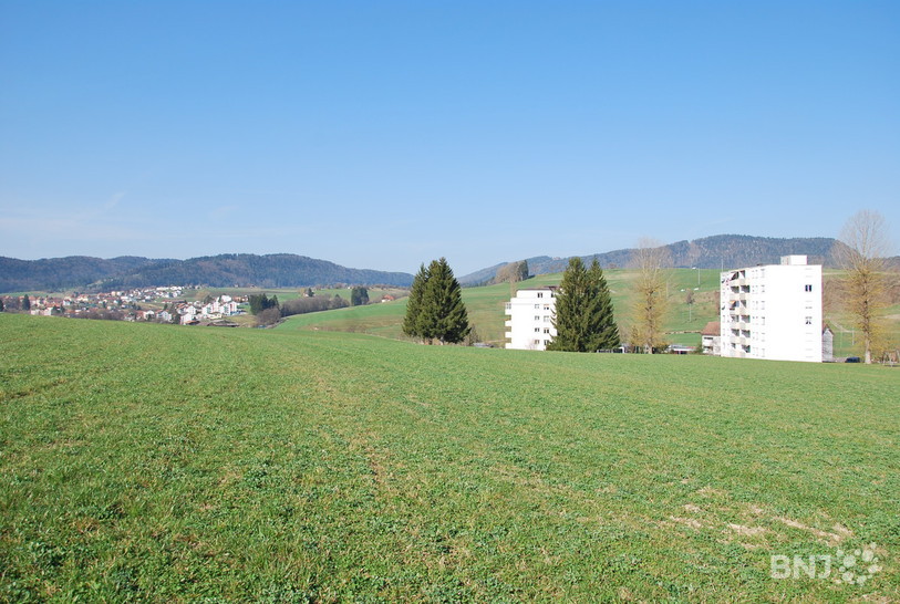 Le projet est prévu sur cette parcelle située dans le secteur des Grands Champs