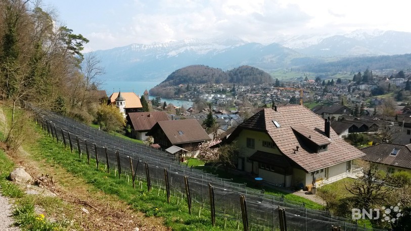 La commune de Spiez, au bord du lac de Thoune