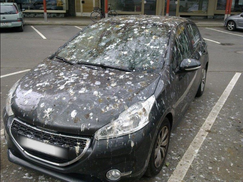 Cette voiture est restée stationnée durant une nuit au parking de la Rue de l'argent en 2016. Photo: Inspection de police de Bienne