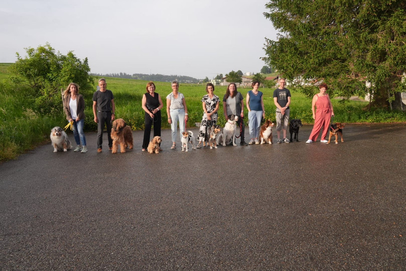 De nouveaux bénévoles pourront porter assistance aux Jurassiens avec des chiens. (Photo : Caritas Jura.)