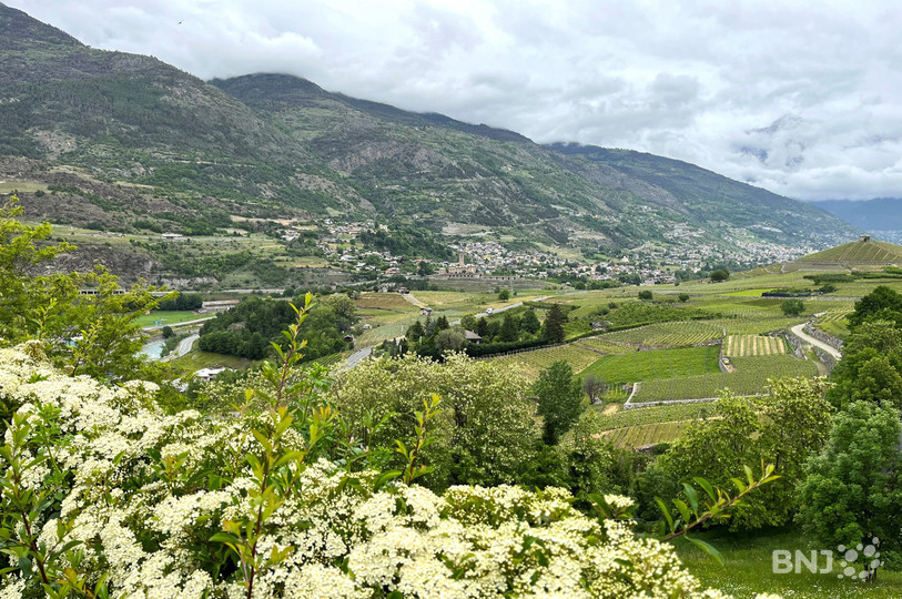 La Vallée d'Aoste, verdoyante et montagneuse.