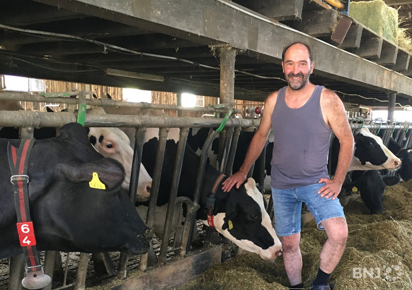 Claude Fleury est fier de Sirène tout comme de ses autres vaches.