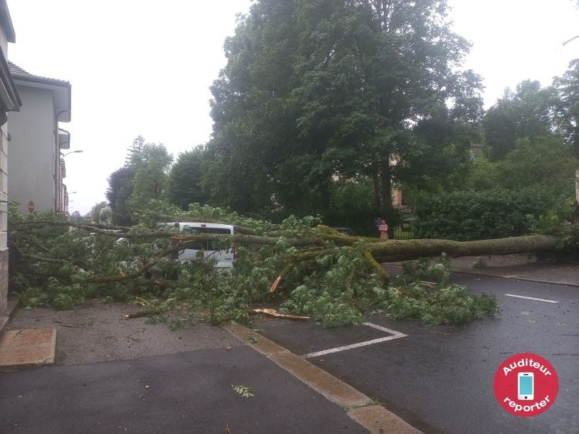 Lors de la tempête, un tronc est tombé en travers de la route à la rue du Doubs, à La Chaux-de-Fonds