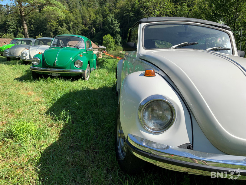 Quelque 300 Coccinelles et autres bus VW sont attendus ce week-end à Undervelier.