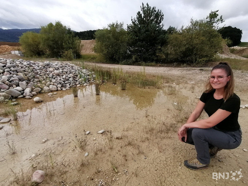 Devant l’une des « mares » protégées sur le site des Matériaux, Emilie Lopez affirme qu’il y a eu cet été beaucoup de juvéniles, soit des petites grenouilles.