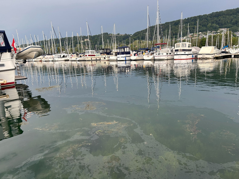 Les auteurs présumés de la pollution aux hydrocarbures ont été identifiés. (photo : police cantonale fribourgeoise).