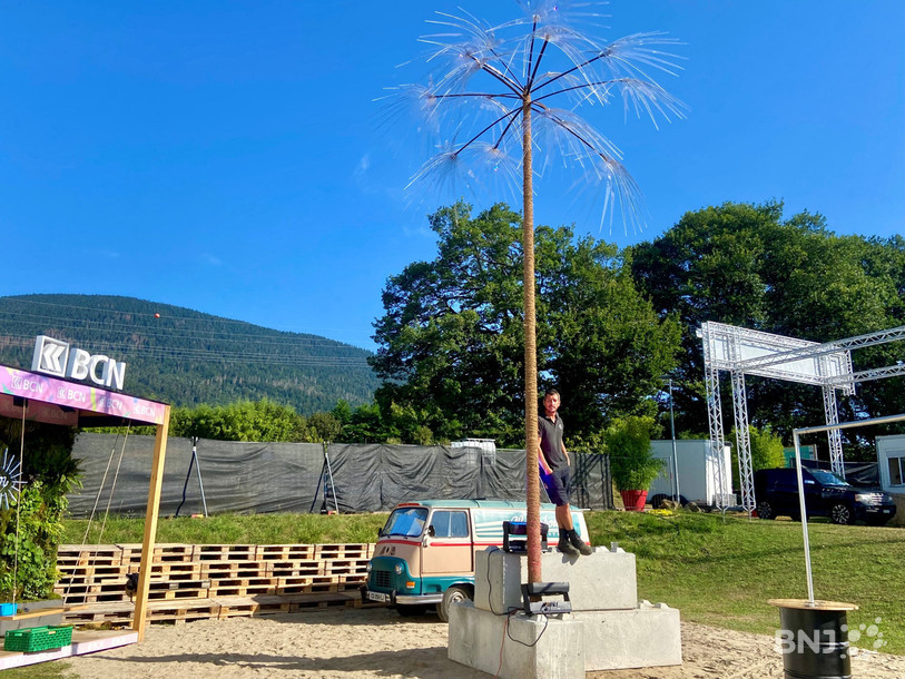 Patrick Pellaton aux côtés du palmier du BeRock, qui est en réalité un vieux lampadaire.