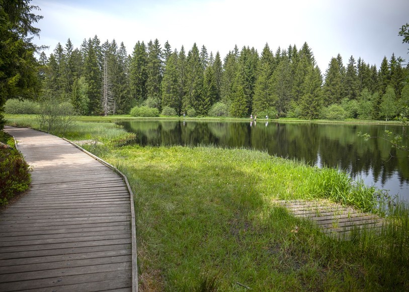 Le sentier qui fait le tour de l’étang de la Gruère va bénéficier d’une sérieuse cure de jouvence. (Photo : Parc du Doubs).