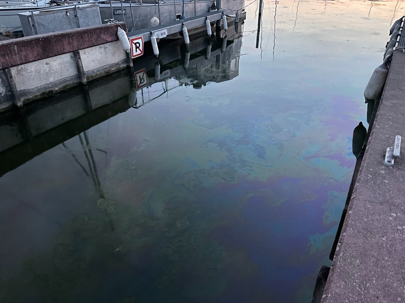 La pollution a touché le port de Morat (photo: police cantonale Fribourg).