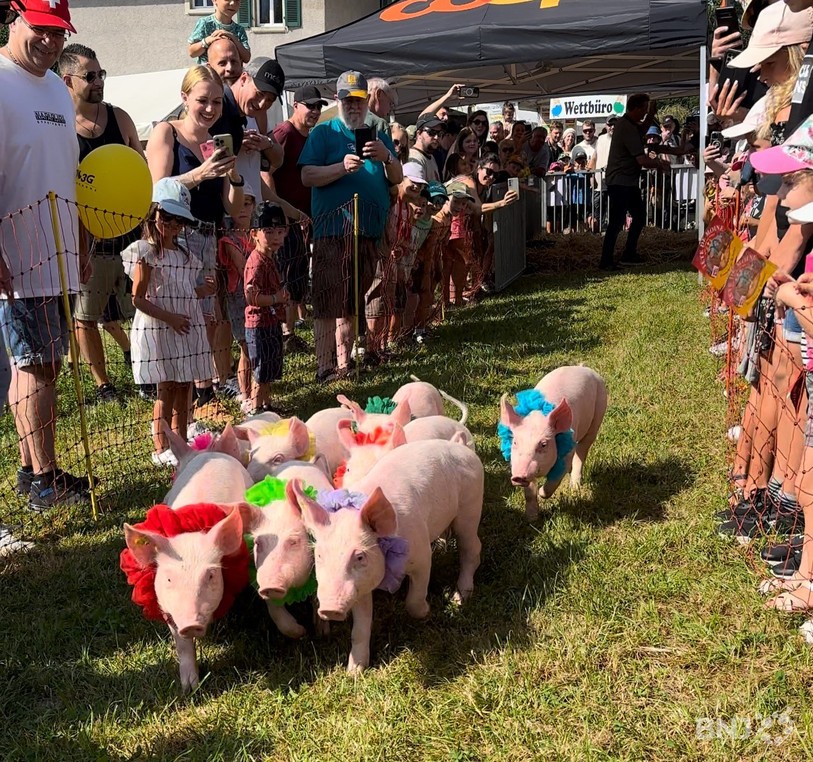 Course de cochons à la Foire de Chaindon 2024
