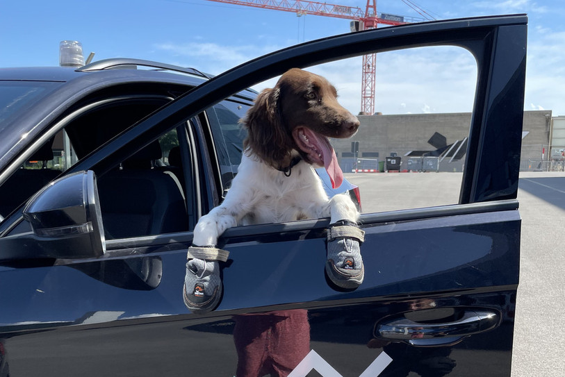 « Vulcan », nouvelle recrue de la Police neuchâteloise. (photo : police neuchâteloise)