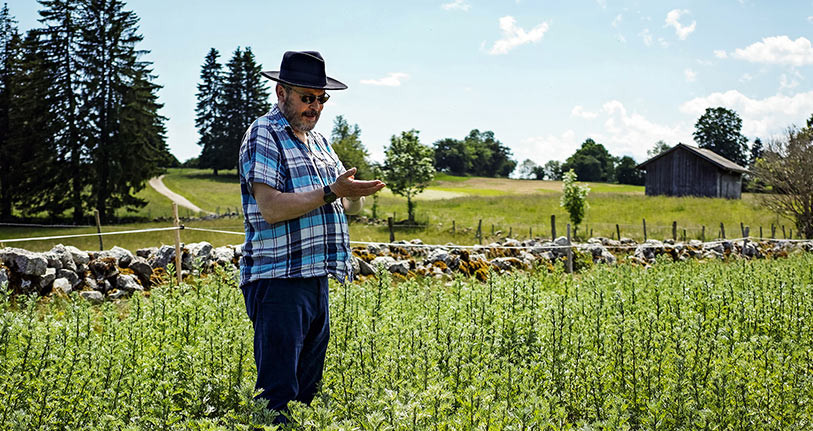 Artemisia Distillerie SA