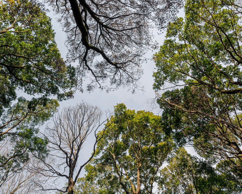 Différents projets intégrant l'économie circulaire pourraient être soutenus pour lutter contre le changement climatique. (Photo libre de droits).