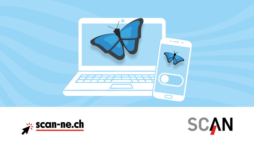Le SCAN lance sa campagne de communication Morpho25, avec un papillon comme symbole (montage: SCAN).