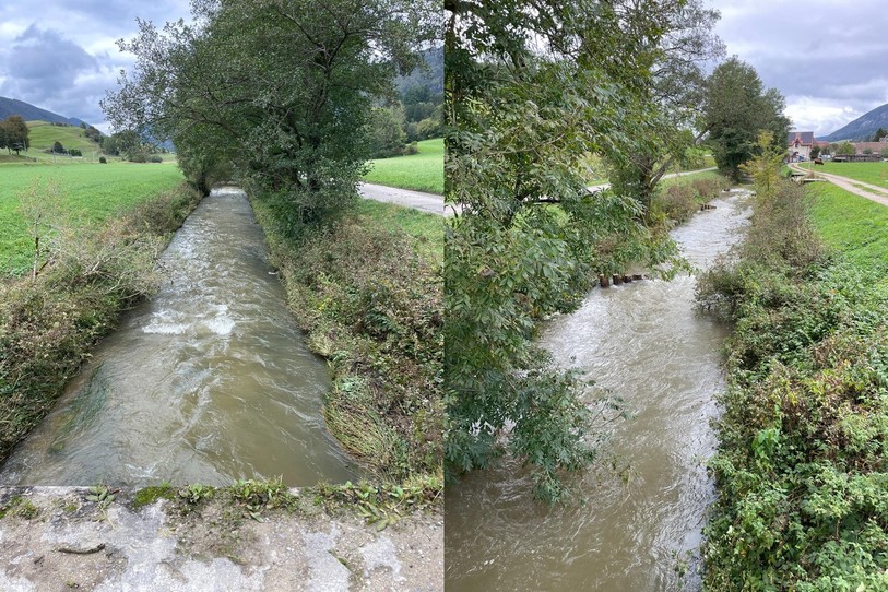 La Birse et son tracé rectiligne (gauche), seront réaménagés pour laisser apparaitre des courants et de la végétation favorisants la biodiversité (droite). 